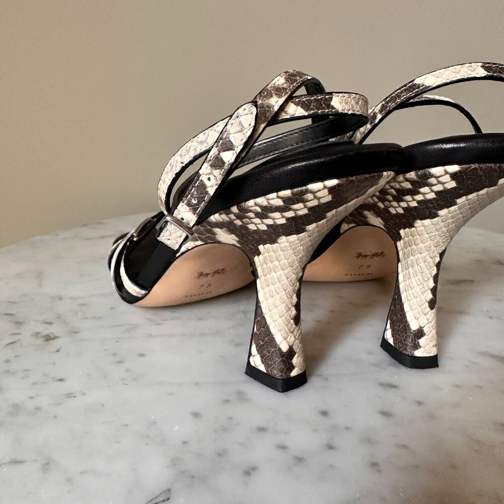 COACH | Grey Snakeskin Sculpted C Kitten Heels  with Square Toe  7.5- Elegant - Picture 12 of 13